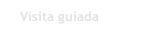 Visita guiada 